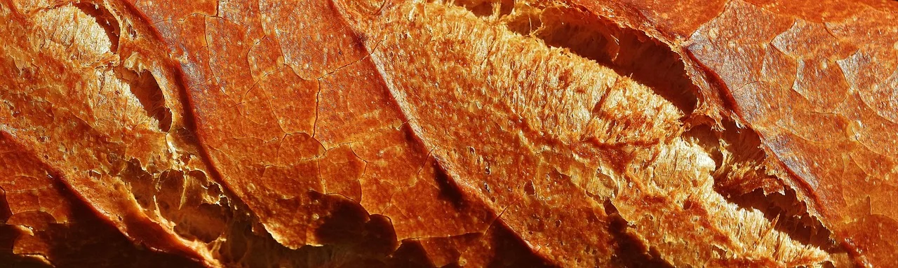baguette, loaf, baked goods, food, meal, yummy, fresh, white bread, baked, bakery, baguette, baguette, bakery, bakery, bakery, bakery, bakery. Startup costs: where the funding actually comes from