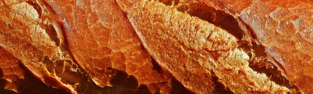 baguette, loaf, baked goods, food, meal, yummy, fresh, white bread, baked, bakery, baguette, baguette, bakery, bakery, bakery, bakery, bakery. Startup costs: where the funding actually comes from