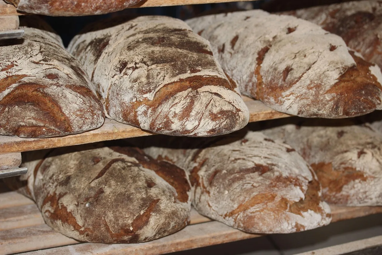 bread, loaves, bakery, loaves of bread, fresh bread, freshly baked, dough, artisan bread, flour, yeast, food, healthy, carbohydrates, baker, homemade, baked, baked goods, bread, bread, bread, bread, bread, bakery. How Canadian Bakeries Adjust Dough Formulas for Prairie Winters