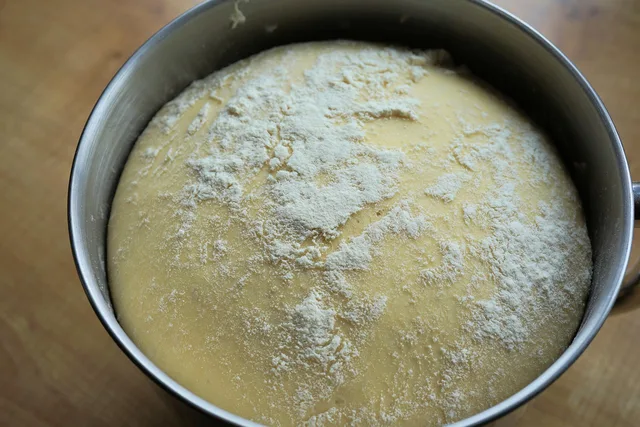 dough, bread dough, bread making, bread, bake, knead, yeast, baked goods, hefekranz, food, baker, flour, eat, bakery. Dough Conditioner Rules in Canada: What Provinces Differ On