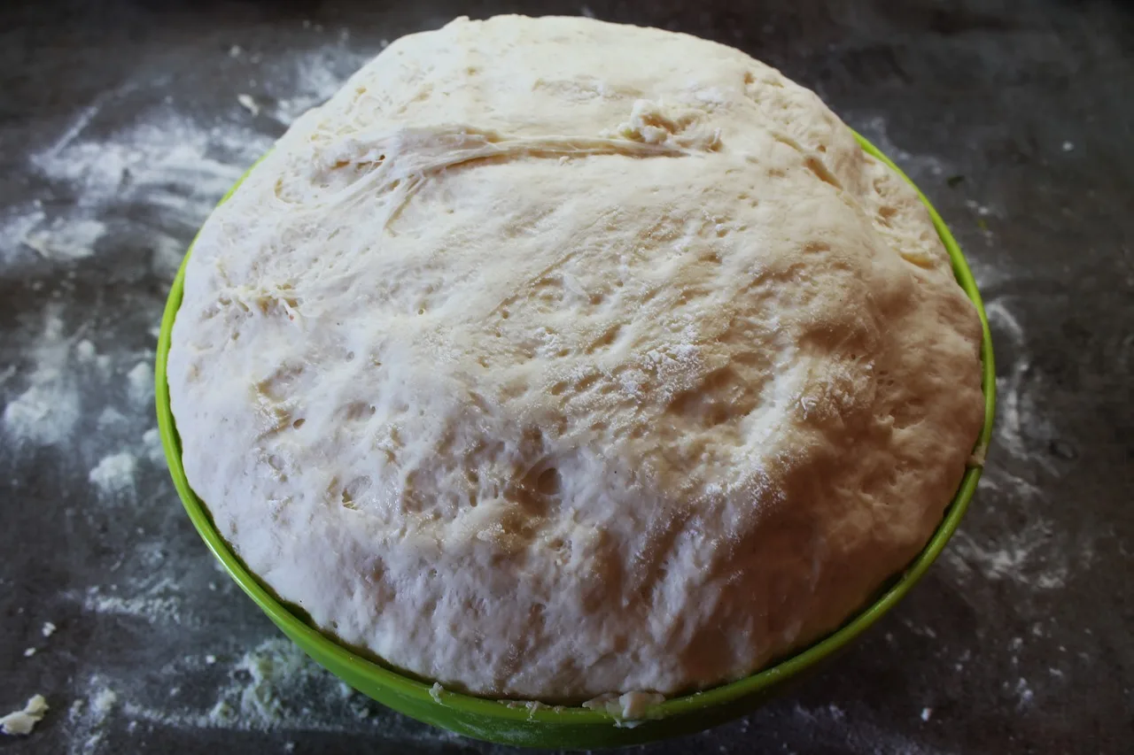 bake, bakery, bakery bread, bread, cook, cooking, food, kitchen, chef, restaurant, ingredient, diet, recipe, healthy, eat, cuisine, gastronomy, dough, flour, homemade, making pasta, prepare, round, white bread. Does the FDA Require Dough Formula Percentages on US Bakery Labels?